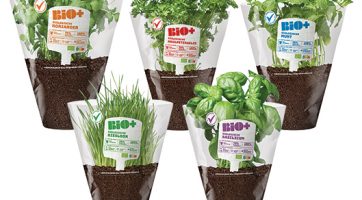BIO+ Organic Plants 4